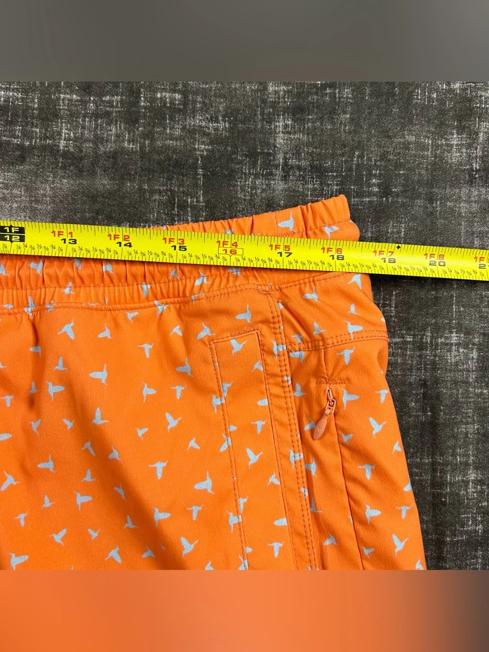Birddogs comfortable men